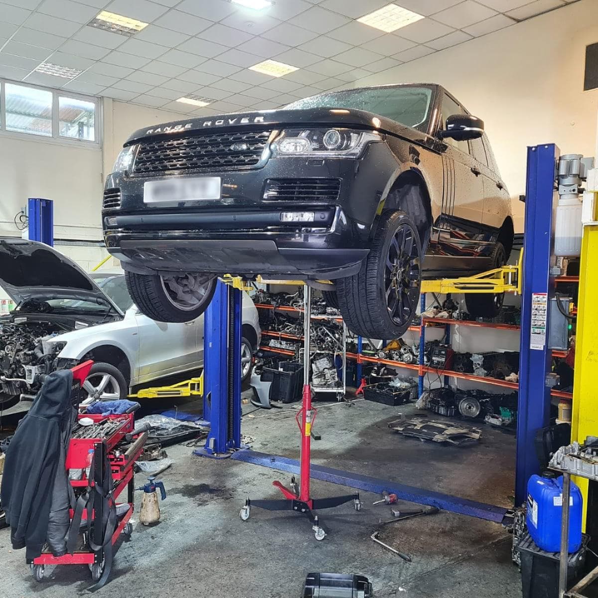 Engine Replacement Specialist